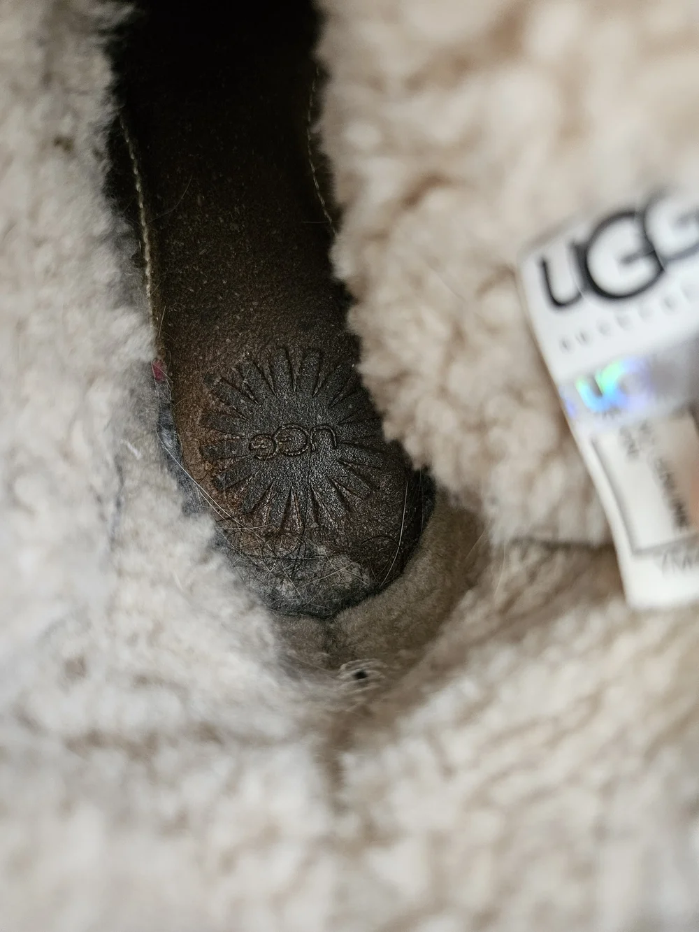 UGG suede ankle
